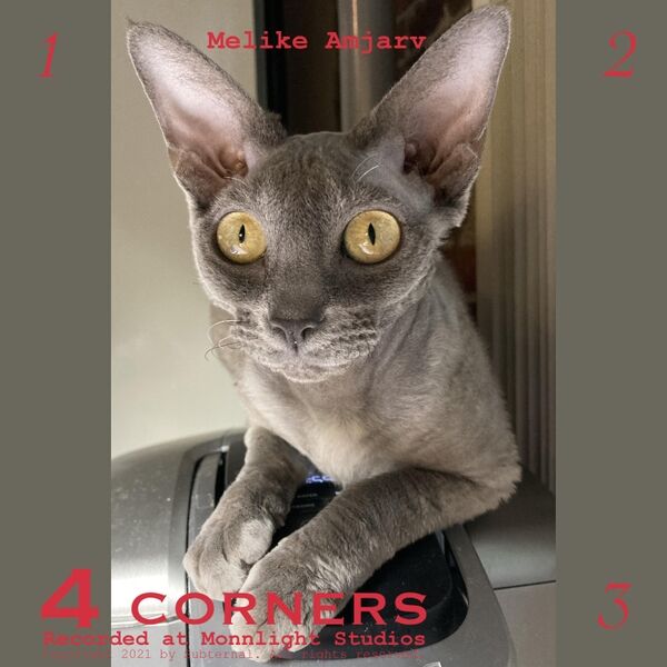 Cover art for 4 Corners