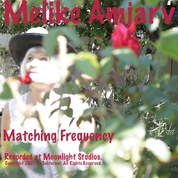 Cover art for Matching Frequency